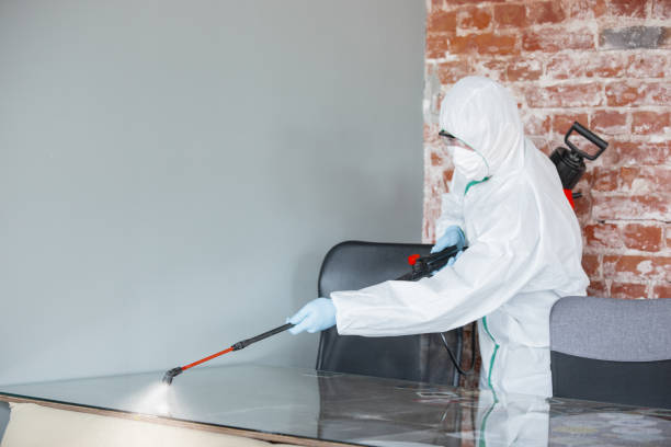 Why You Should Choose Our Mold Remediation Services in Milton, FL